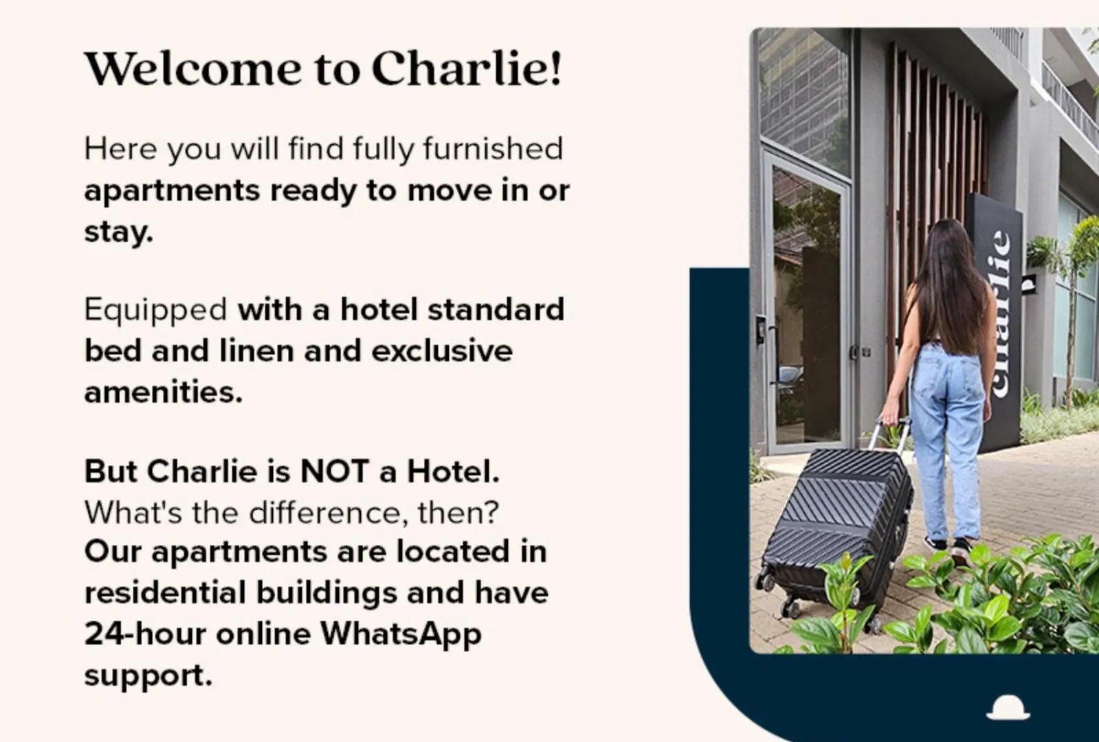 Charlie Itaim Bueno Brandao Apartment Sao Paulo Brazil